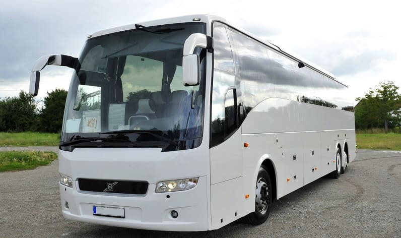 Italy: Buses agency in Campania in Campania and Pozzuoli